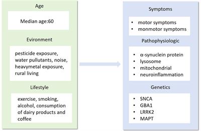 Emerging perspectives on precision therapy for Parkinson’s disease: multidimensional evidence leading to a new breakthrough in personalized medicine